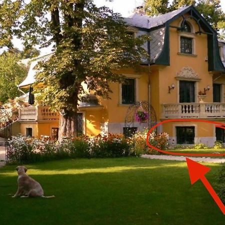 Buda Hills Villa Apartment Budapest Luaran gambar